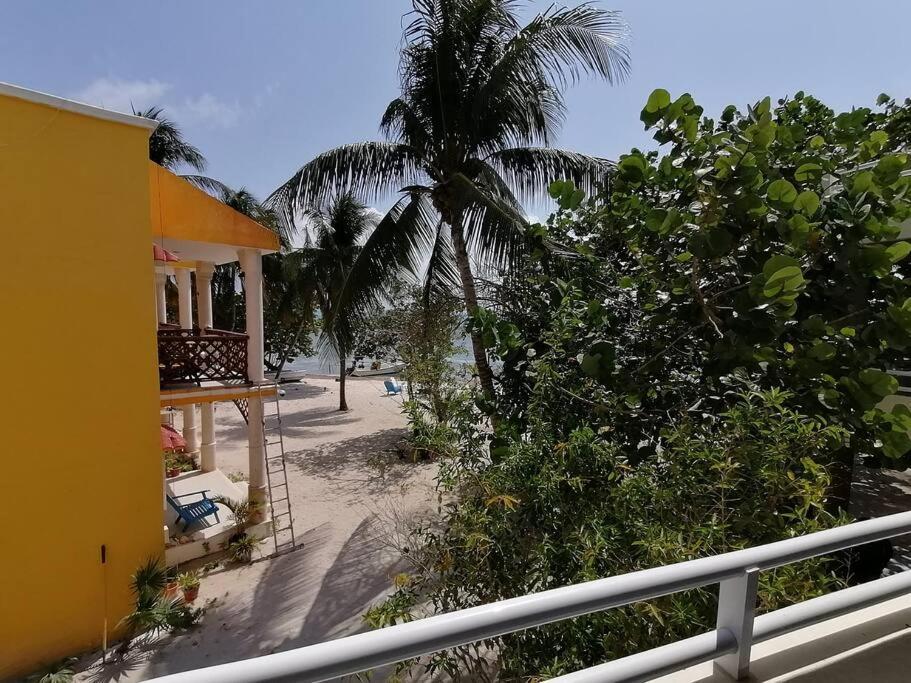 Marysol Great Views Beachfront Next To Nomads D3 Isla Mujeres Ngoại thất bức ảnh