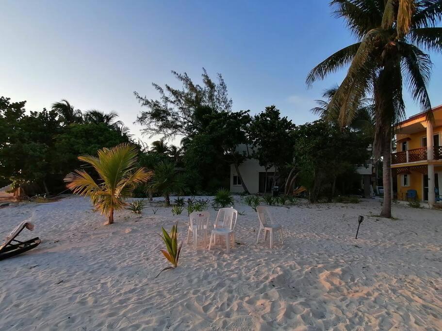 Marysol Great Views Beachfront Next To Nomads D3 Isla Mujeres Ngoại thất bức ảnh