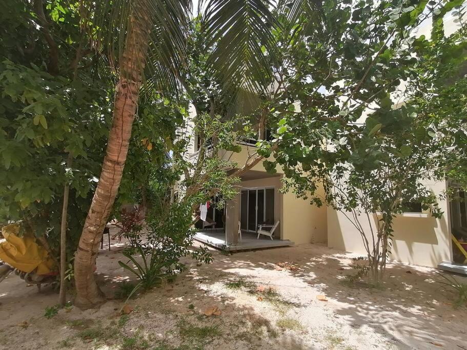 Marysol Great Views Beachfront Next To Nomads D3 Isla Mujeres Ngoại thất bức ảnh