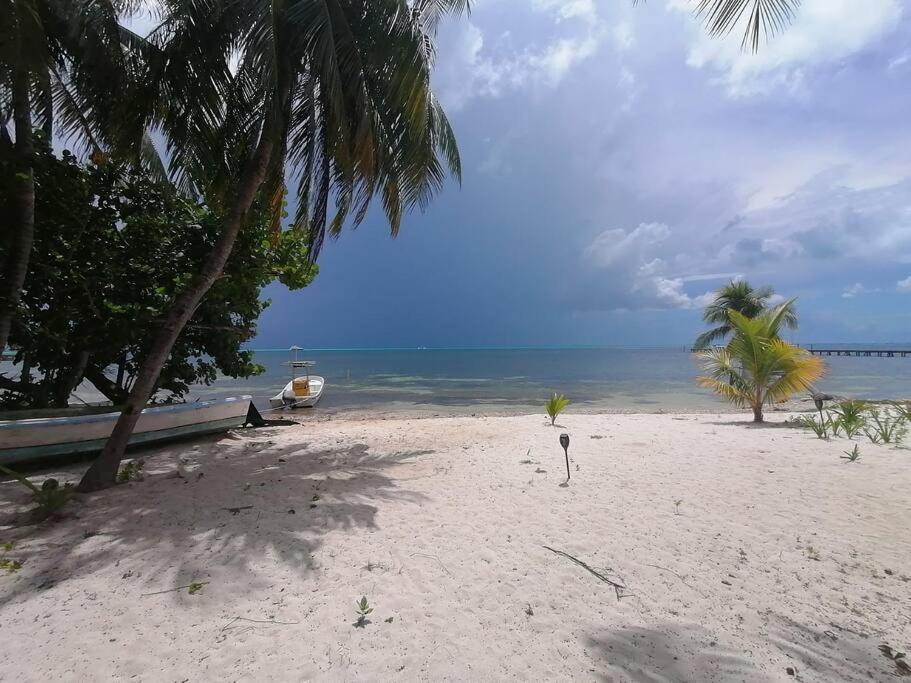 Marysol Great Views Beachfront Next To Nomads D3 Isla Mujeres Ngoại thất bức ảnh