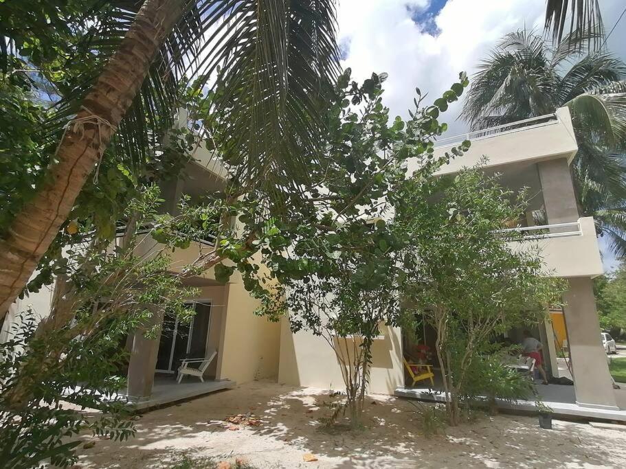 Marysol Great Views Beachfront Next To Nomads D3 Isla Mujeres Ngoại thất bức ảnh