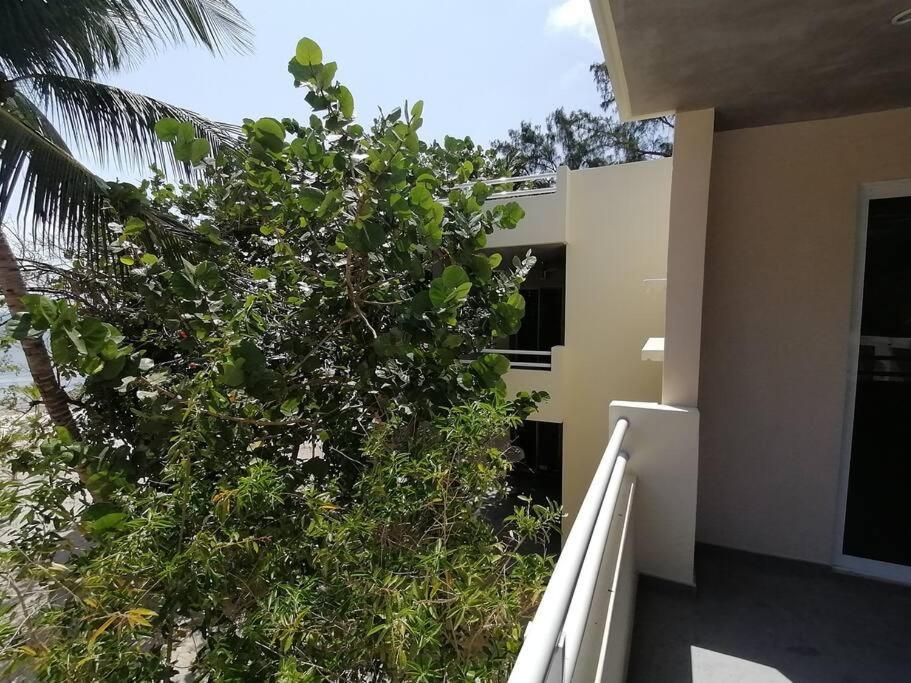 Marysol Great Views Beachfront Next To Nomads D3 Isla Mujeres Ngoại thất bức ảnh