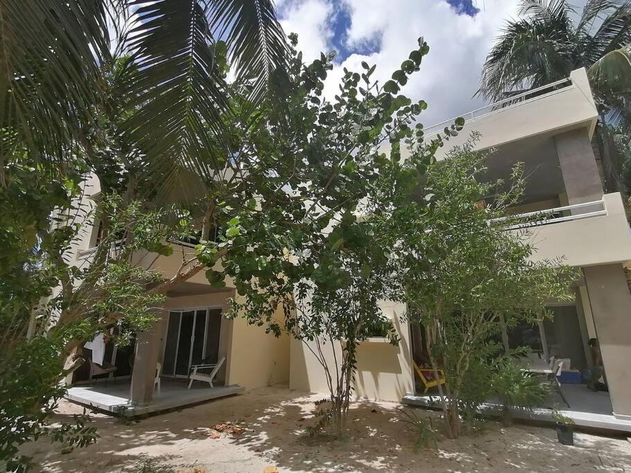 Marysol Great Views Beachfront Next To Nomads D3 Isla Mujeres Ngoại thất bức ảnh