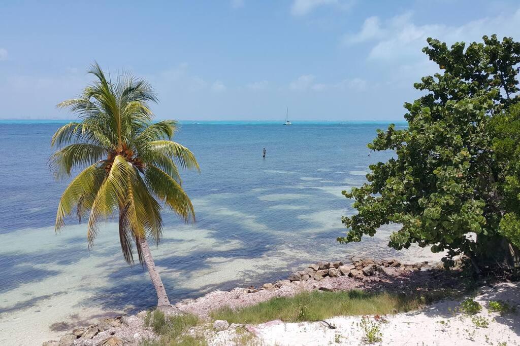 Marysol Great Views Beachfront Next To Nomads D3 Isla Mujeres Ngoại thất bức ảnh