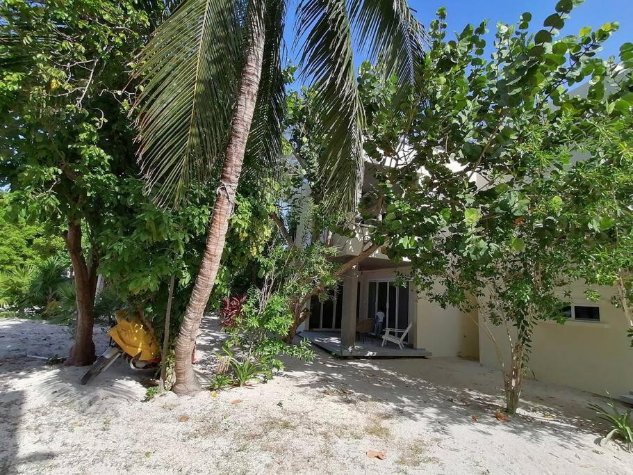 Marysol Great Views Beachfront Next To Nomads D3 Isla Mujeres Ngoại thất bức ảnh