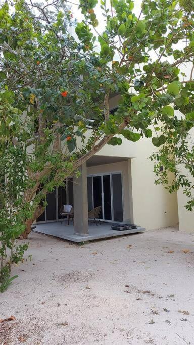 Marysol Great Views Beachfront Next To Nomads D3 Isla Mujeres Ngoại thất bức ảnh